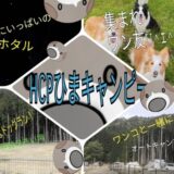 クラファン始めました