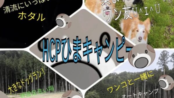 クラファン始めました